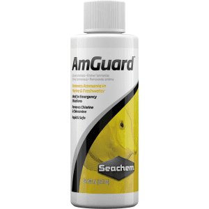 Seachem AmGuard 100 ml.